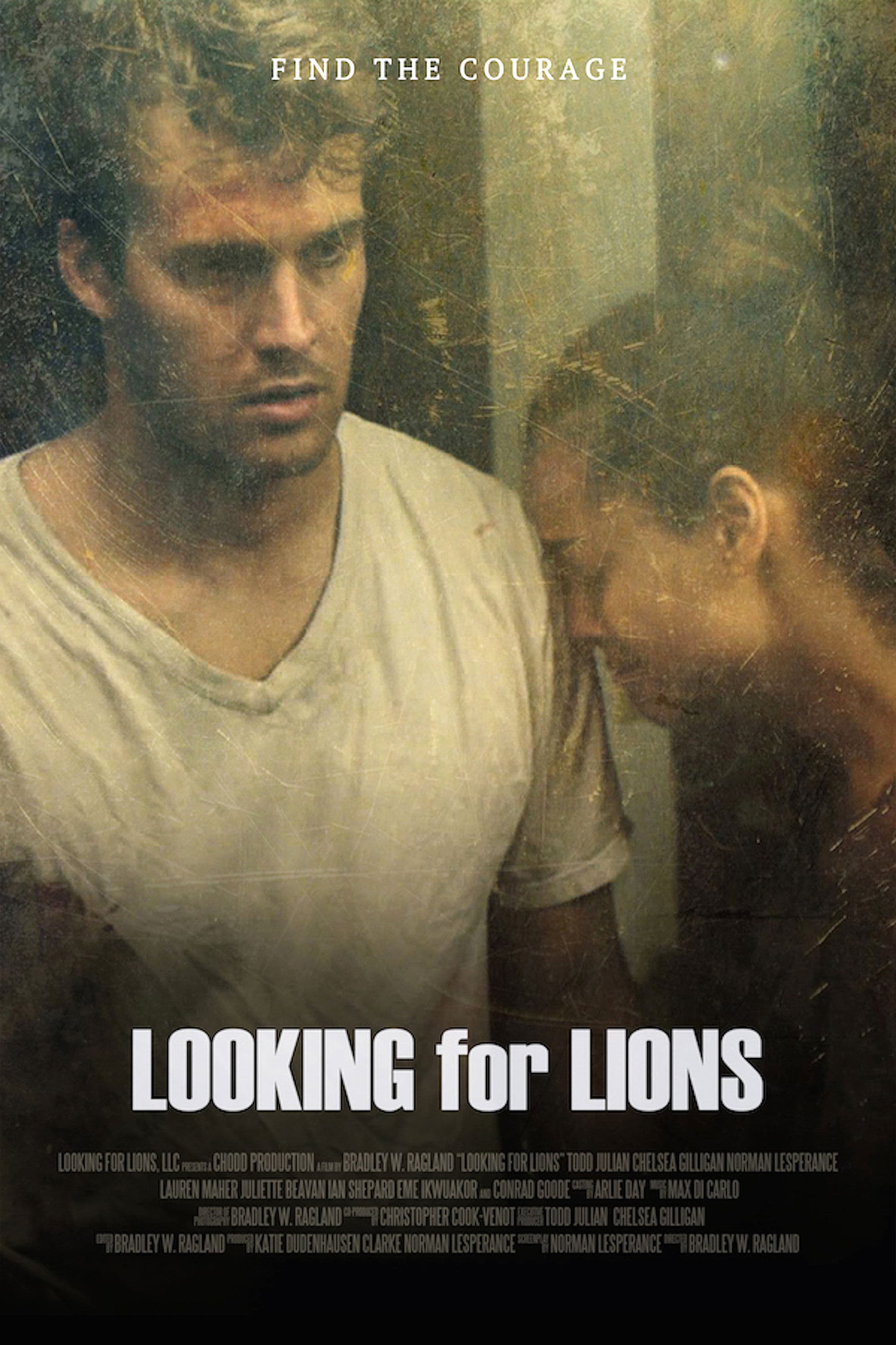 Poster backdrop for Looking for Lions