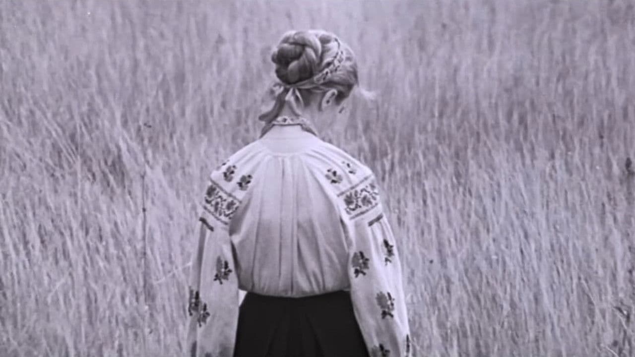 Poster backdrop for I'm Coming to You...