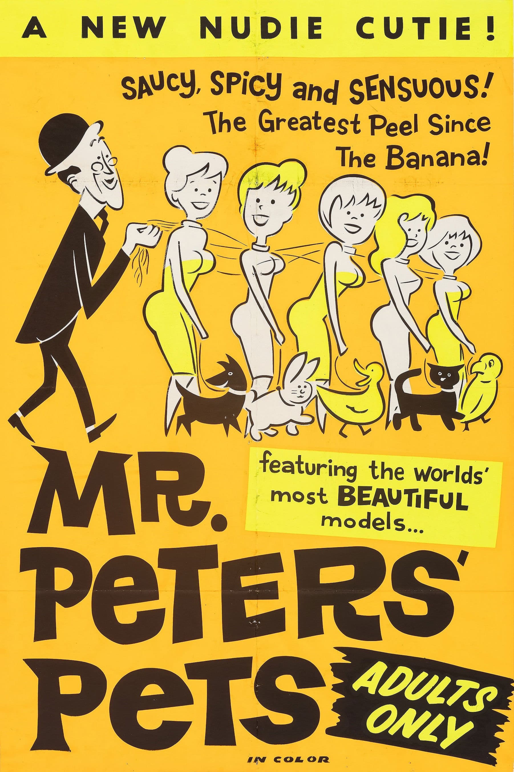 Poster backdrop for Mr. Peters' Pets