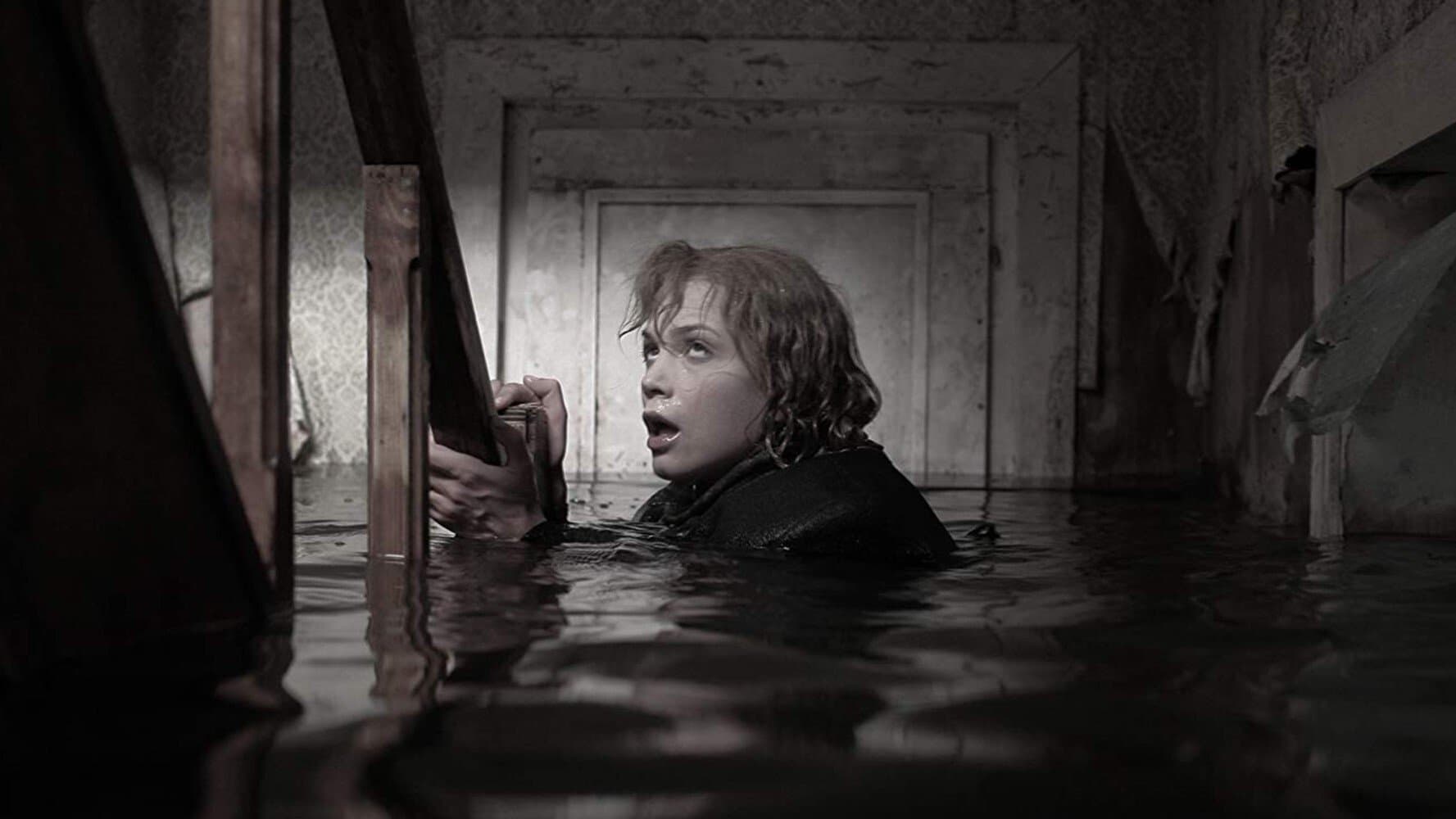 Poster backdrop for The Storm