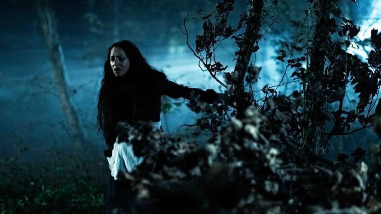 Poster backdrop for Vindicta