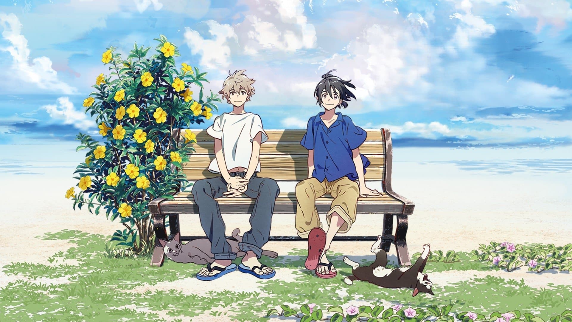 Poster backdrop for The Stranger by the Shore