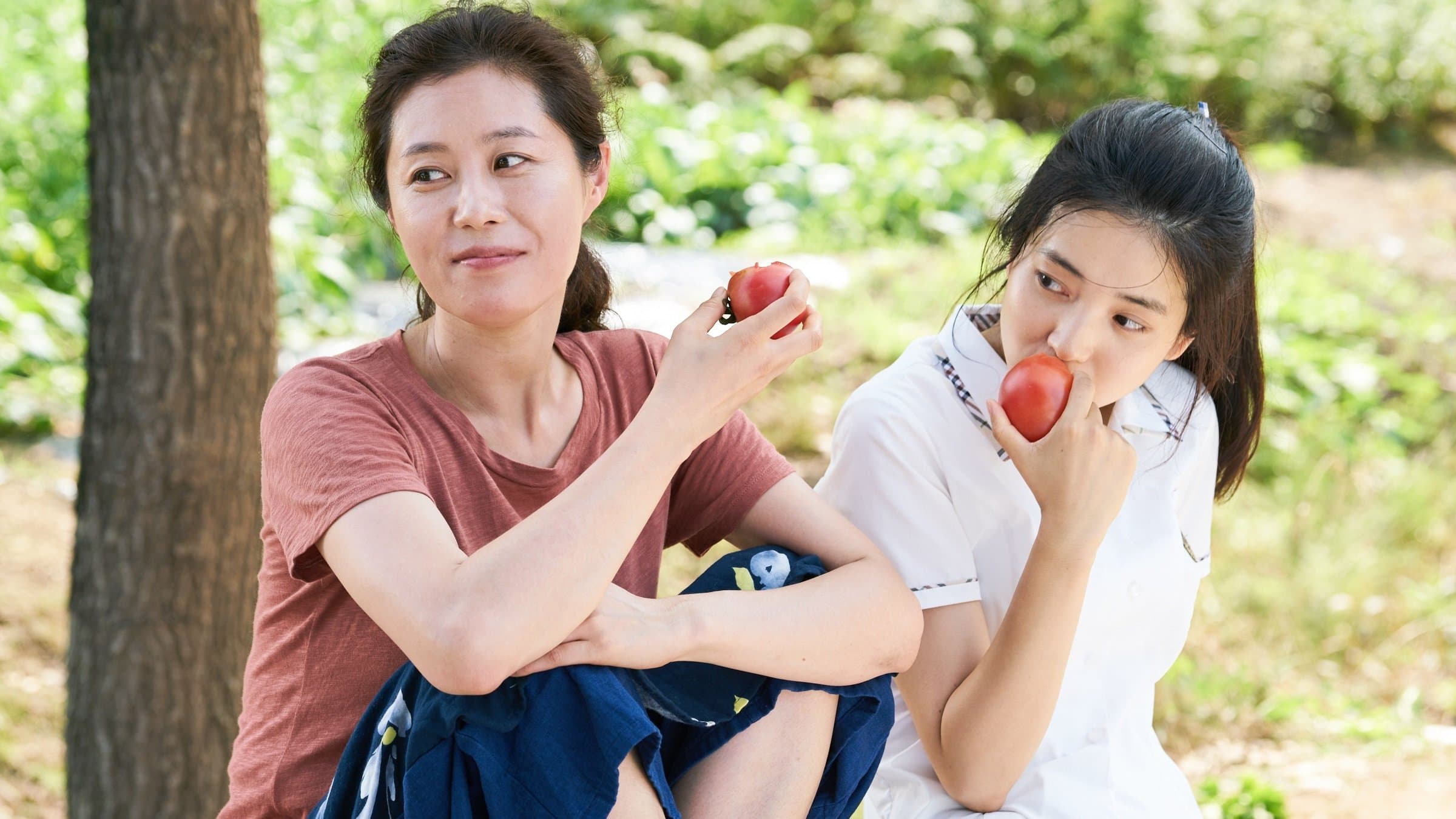 Poster backdrop for Little Forest