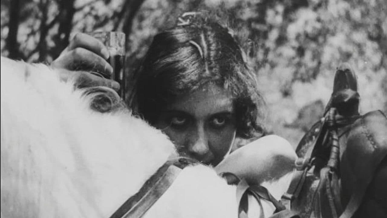 Poster backdrop for The Case of the Murder of Tariel Mklavadze