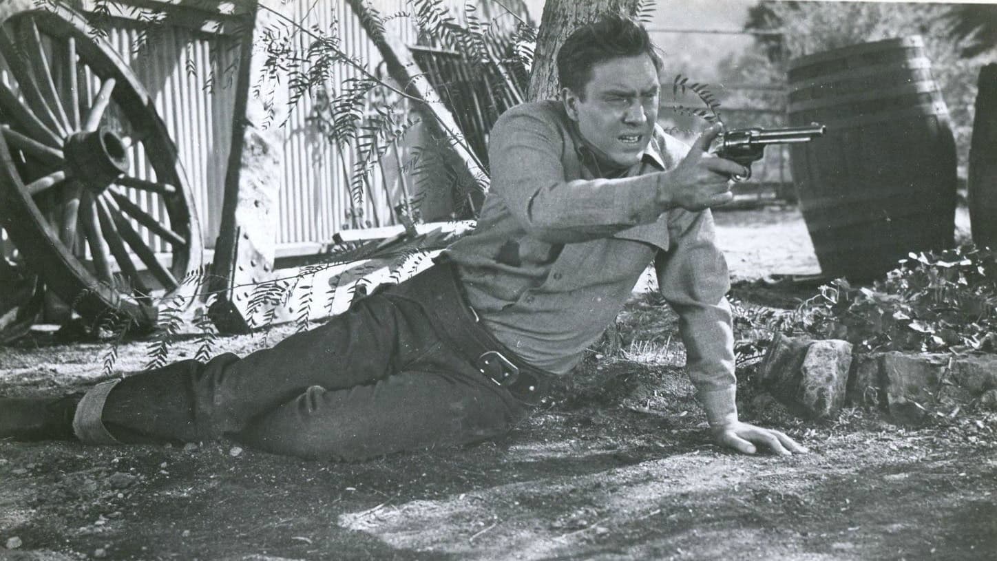 Poster backdrop for Cow Country