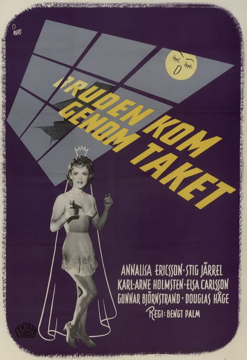 Poster backdrop for The Bride Came Through the Ceiling