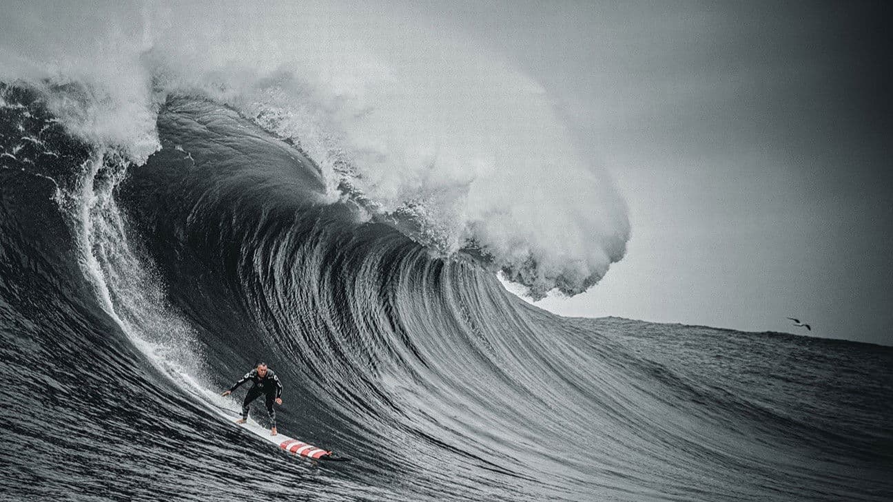 Poster backdrop for The Secret Life of Waves