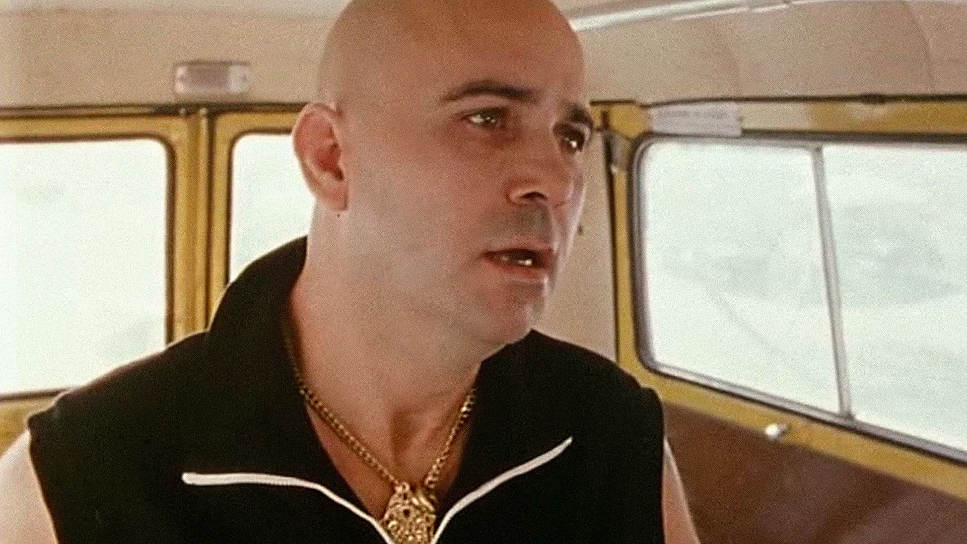 Poster backdrop for Piovono mucche