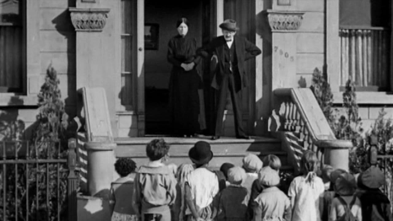 Poster backdrop for Shrimps for a Day