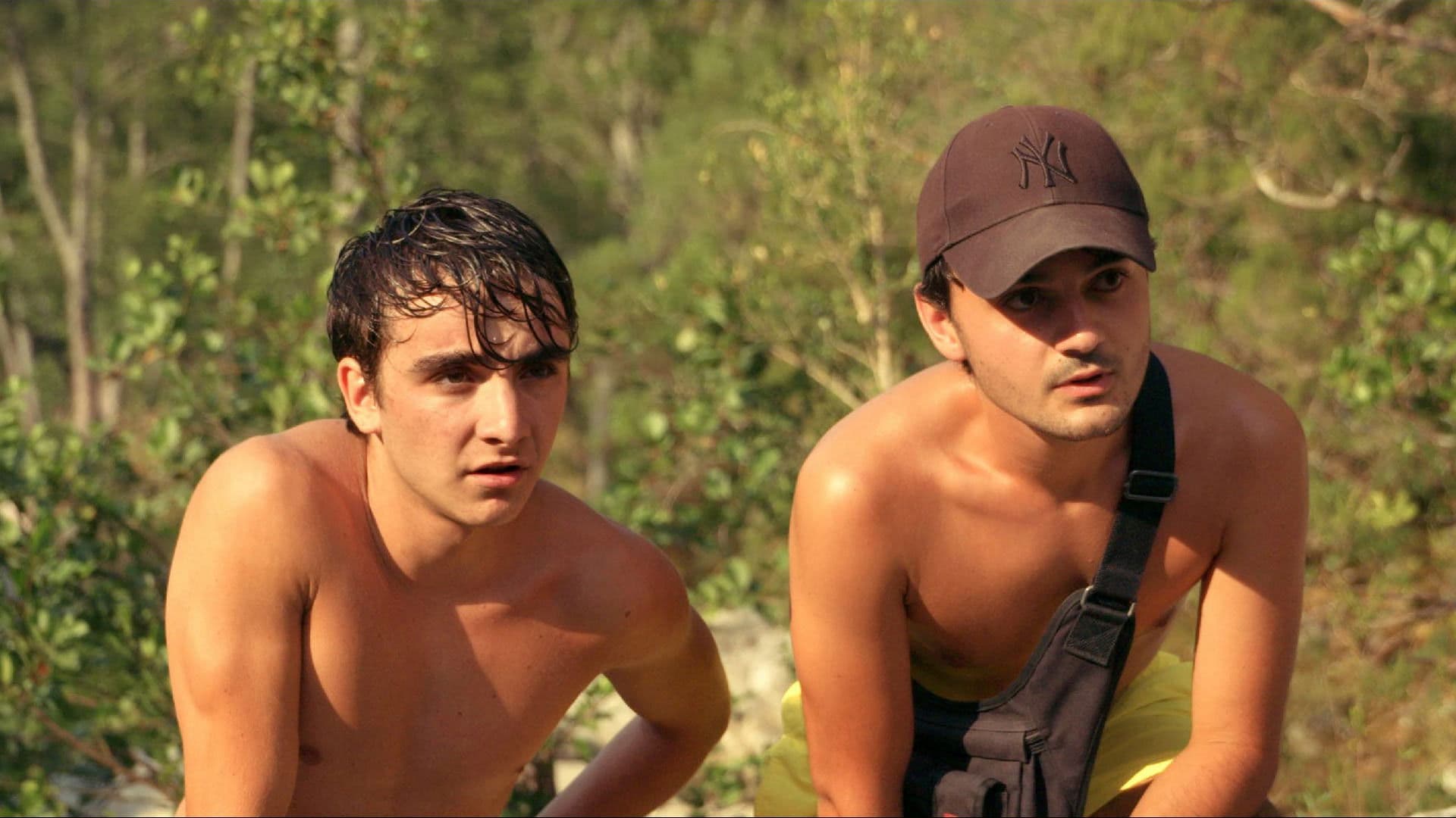 Poster backdrop for Summer Memories