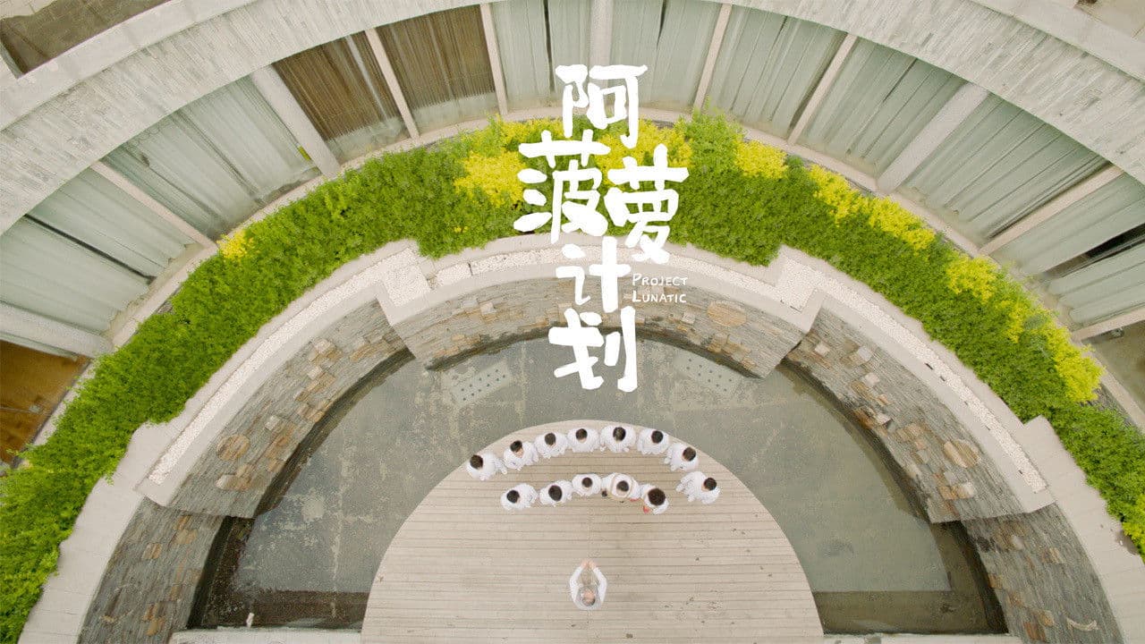 Poster backdrop for Project Lunatic