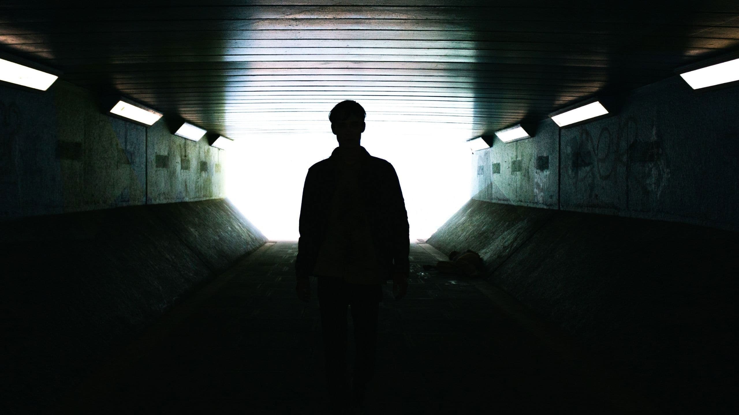 Poster backdrop for One Rat's Dream