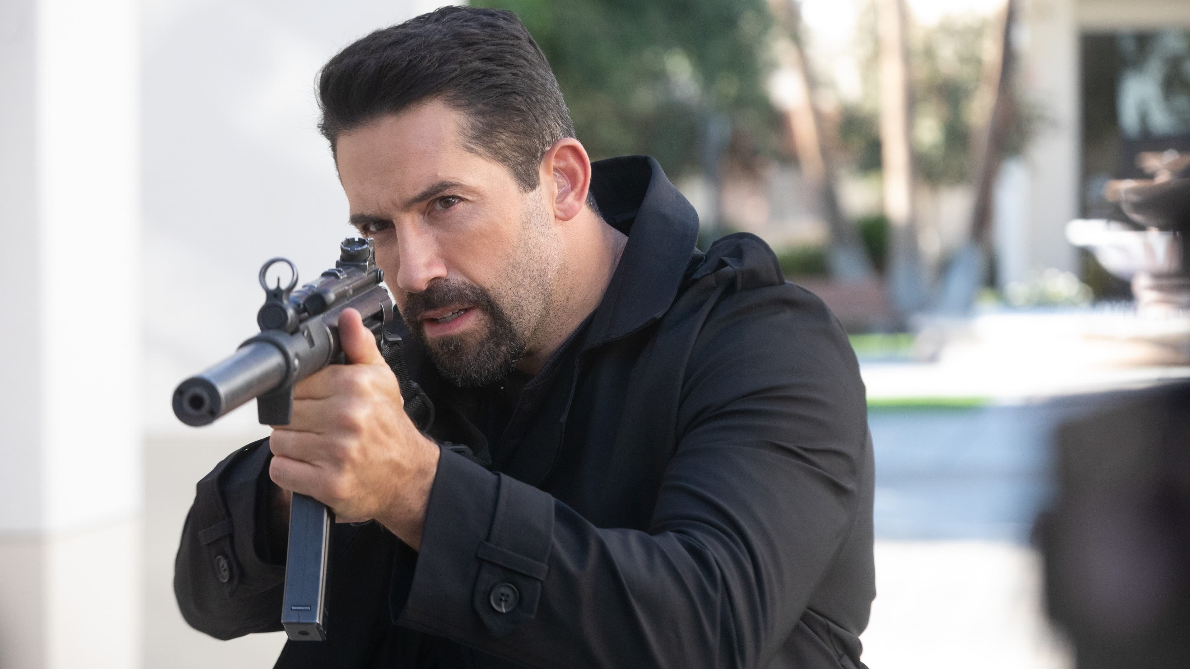 Poster backdrop for Section 8