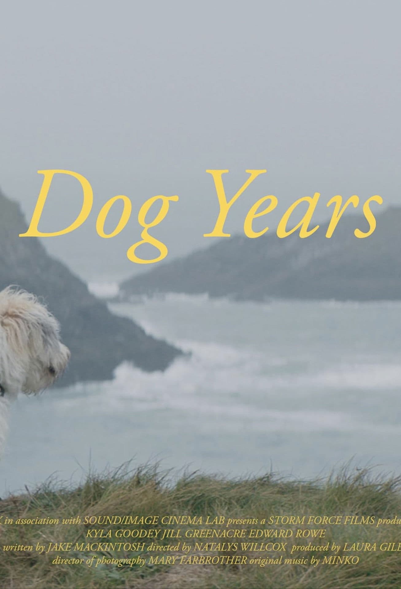 Poster backdrop for Dog Years