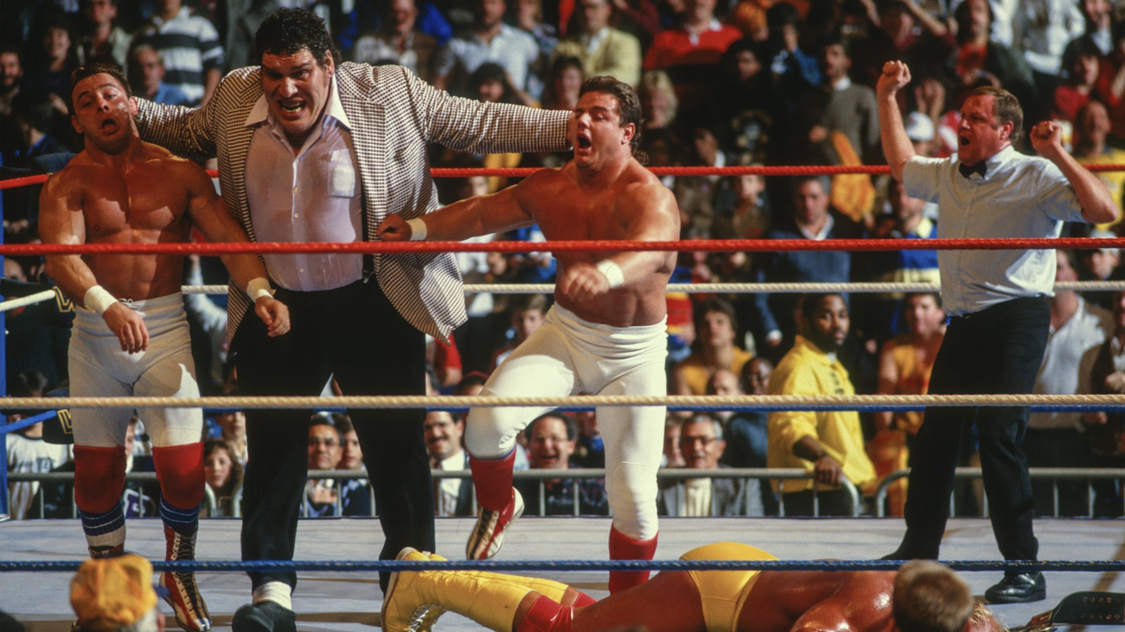 Poster backdrop for Saturday Night's Main Event