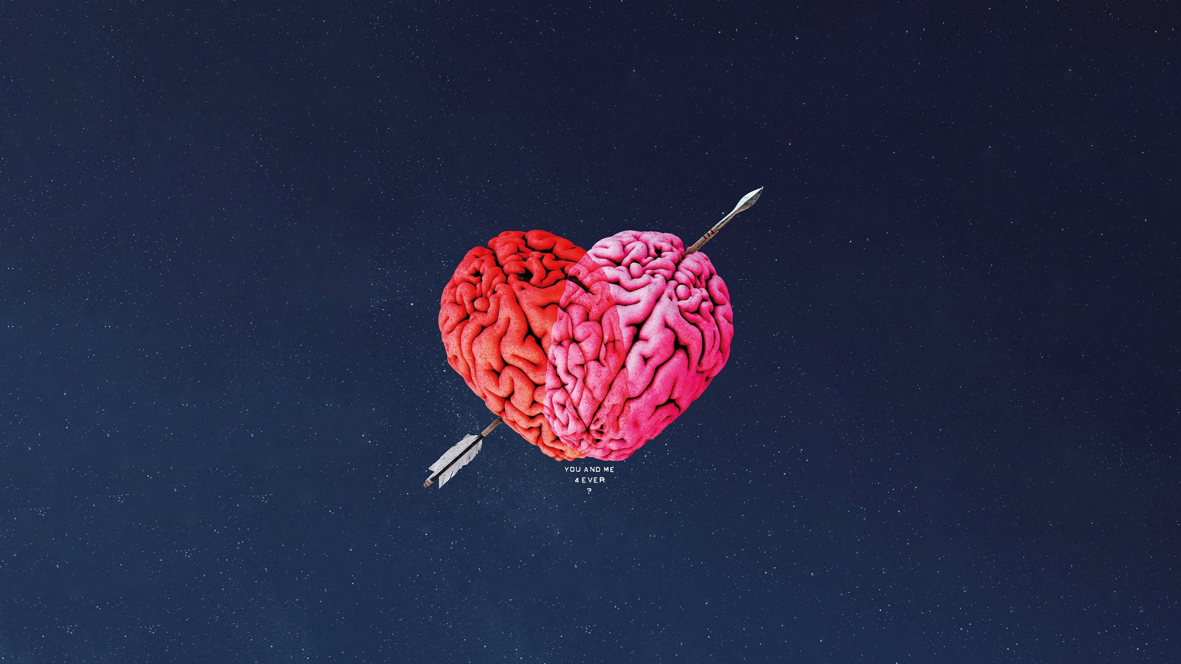 Poster backdrop for Diorama