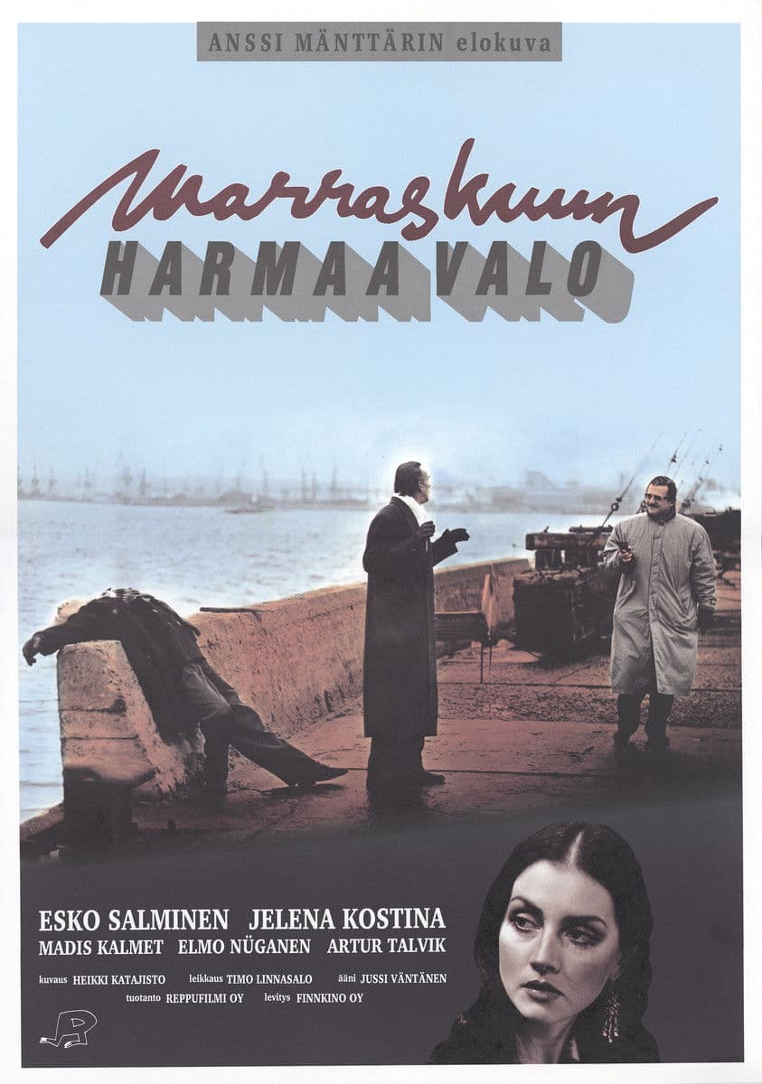 Poster backdrop for Marraskuun harmaa valo