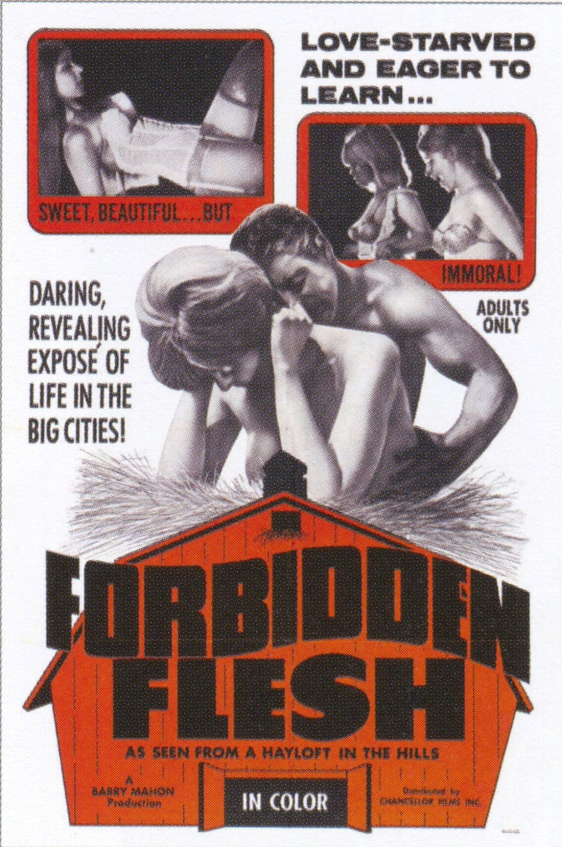 Poster backdrop for Forbidden Flesh