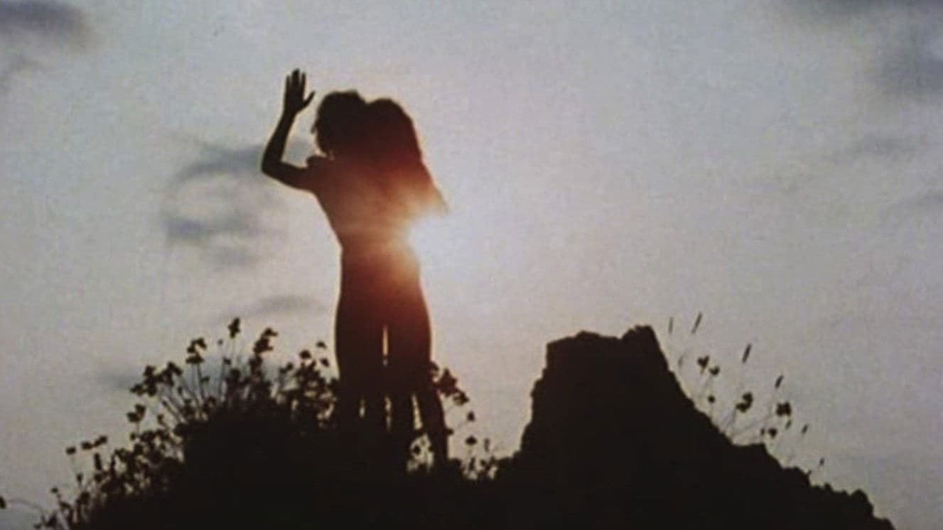 Poster backdrop for Visa de censure n° X