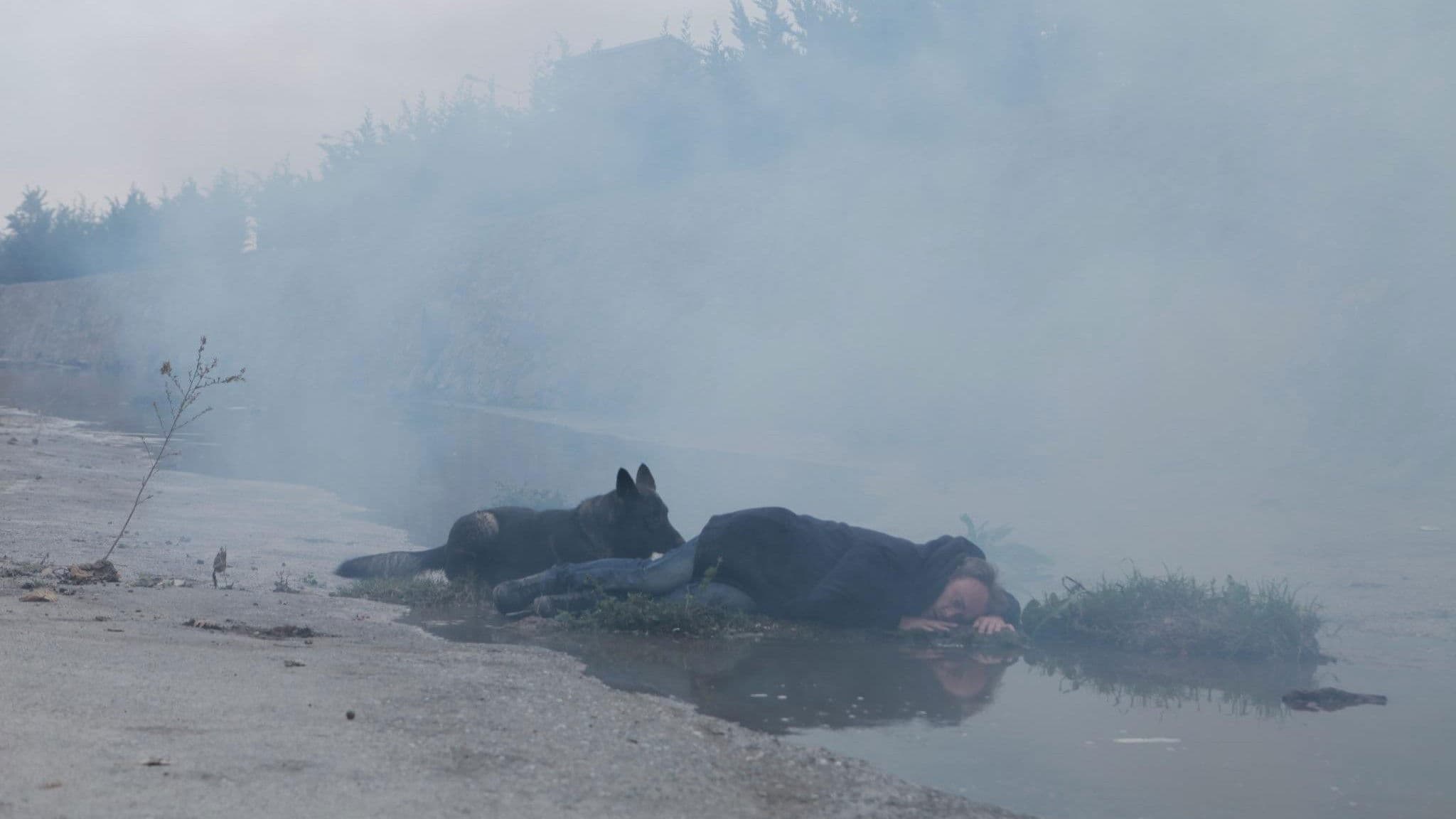 Poster backdrop for Why Can't I Be Tarkovsky?