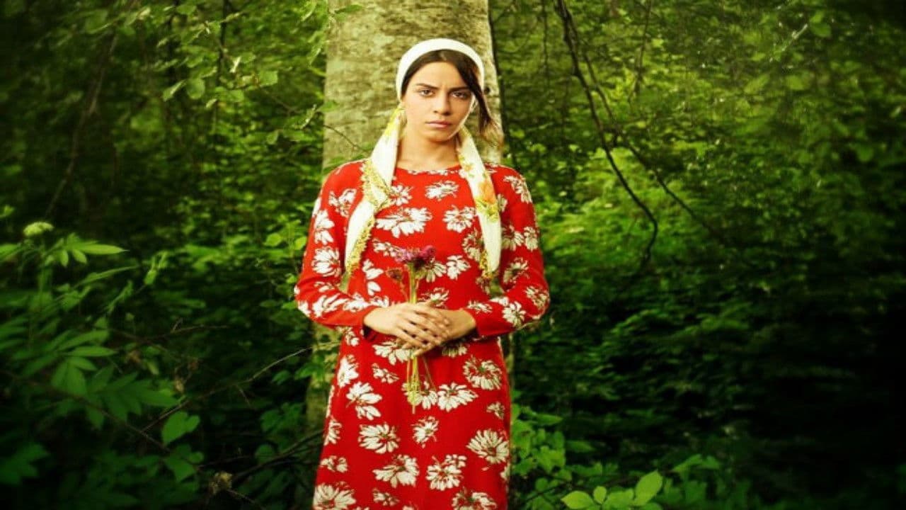 Poster backdrop for Firak