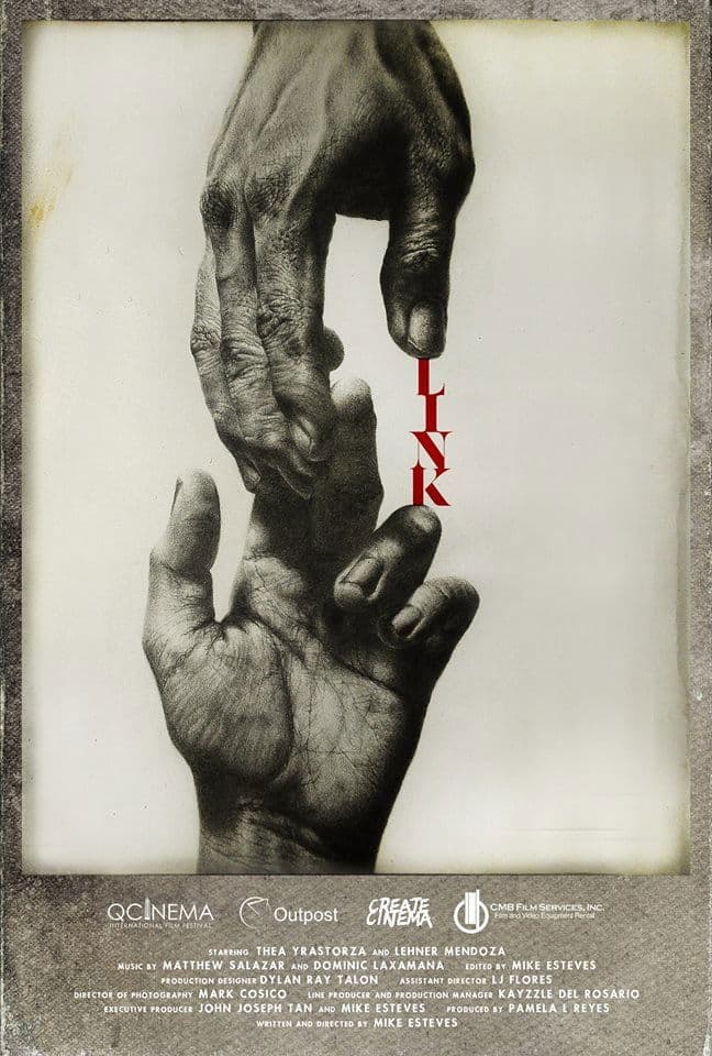 Poster backdrop for Link