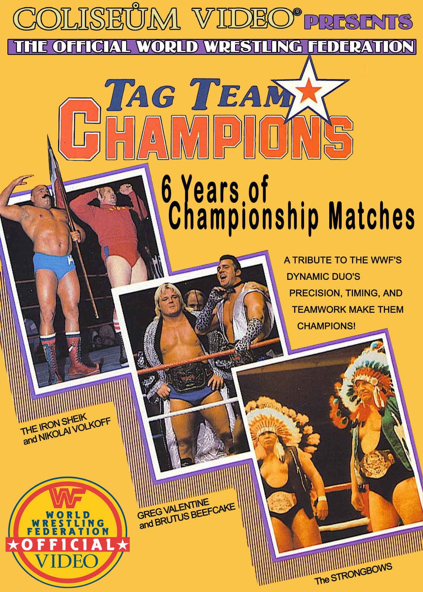 Poster backdrop for Tag Team Champions