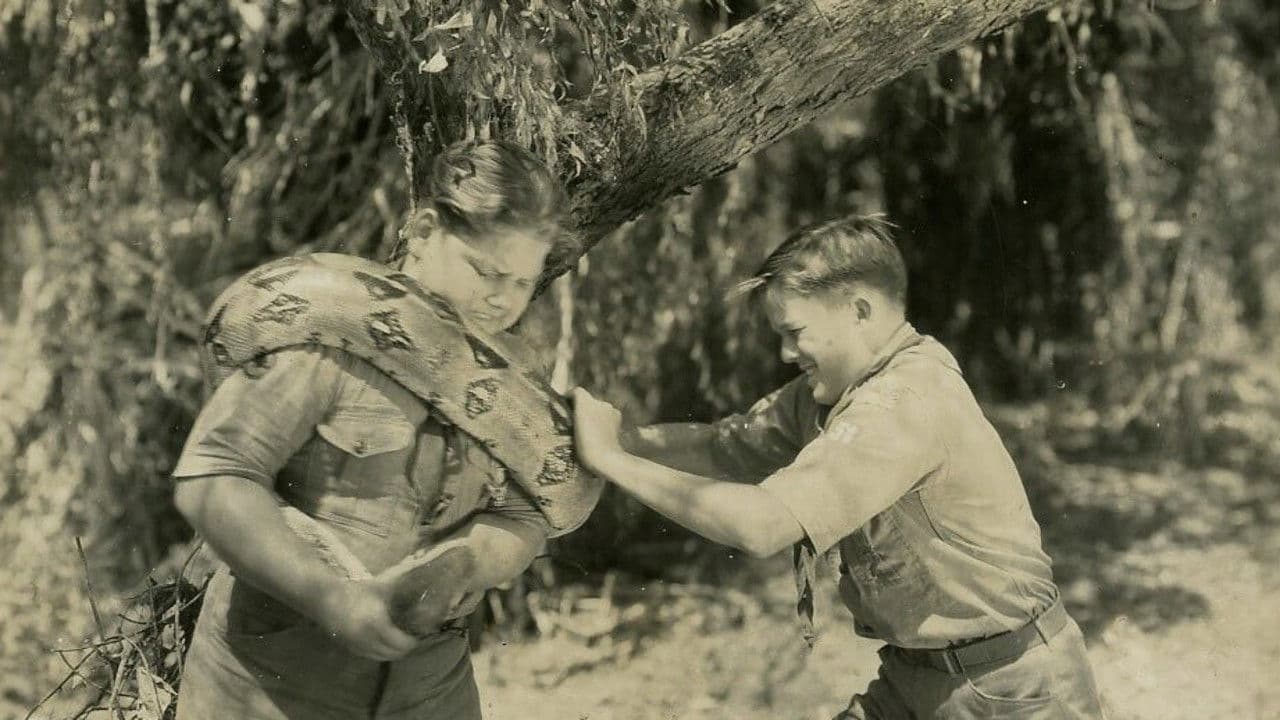 Poster backdrop for Young Eagles