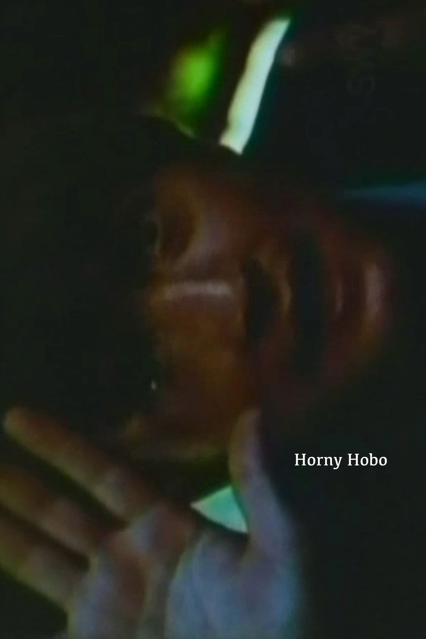 Poster backdrop for Horny Hobo