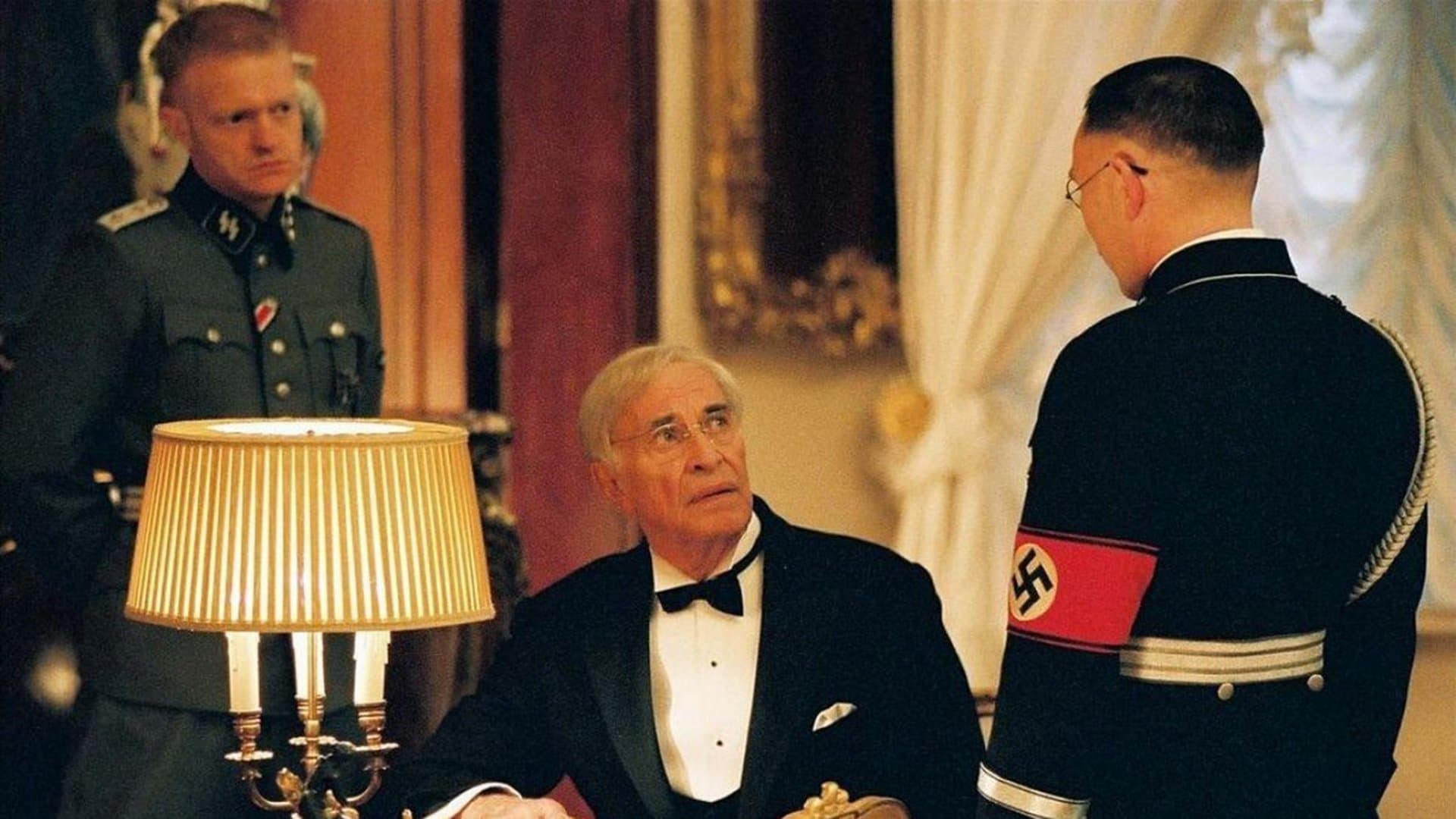 Poster backdrop for The Aryan Couple