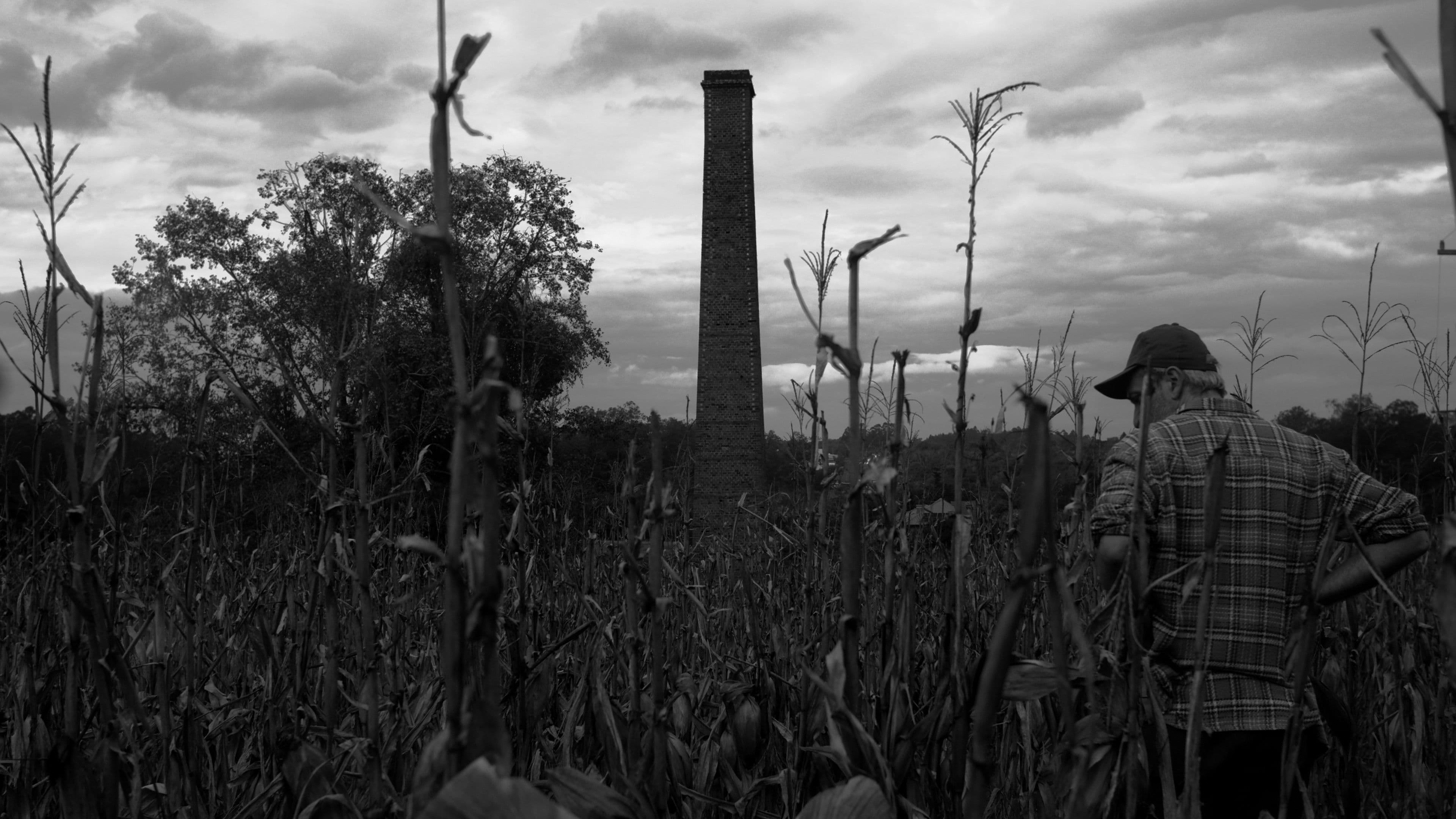 Poster backdrop for The Great Tower