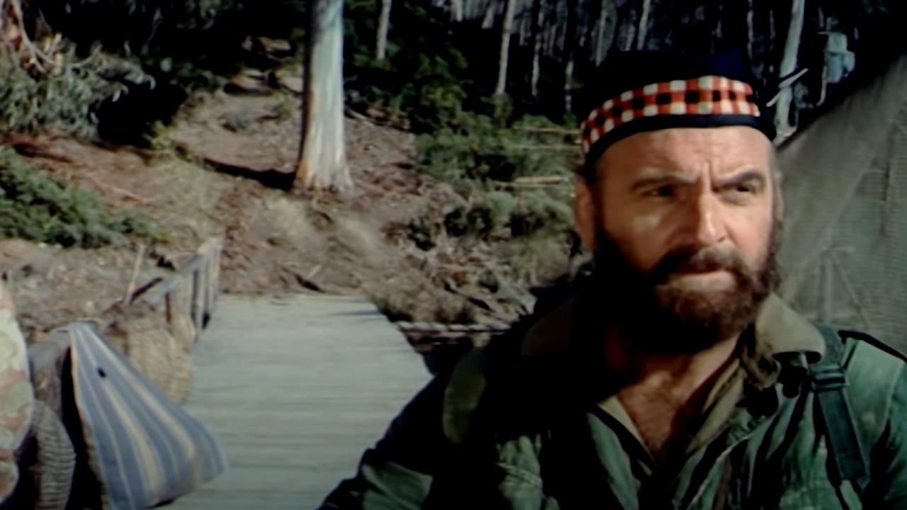 Poster backdrop for The Last Grenade