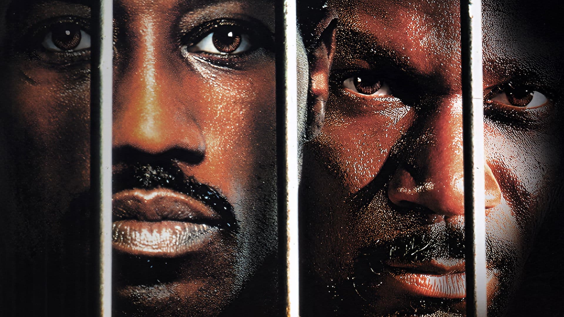 Poster backdrop for Undisputed