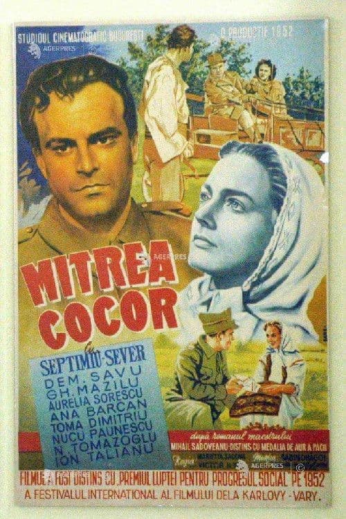 Poster backdrop for Mitrea Cocor