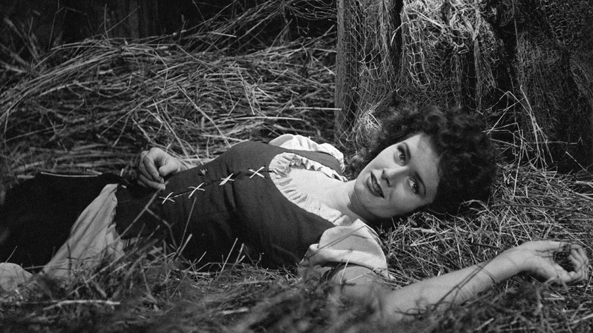 Poster backdrop for Harald Handfaste