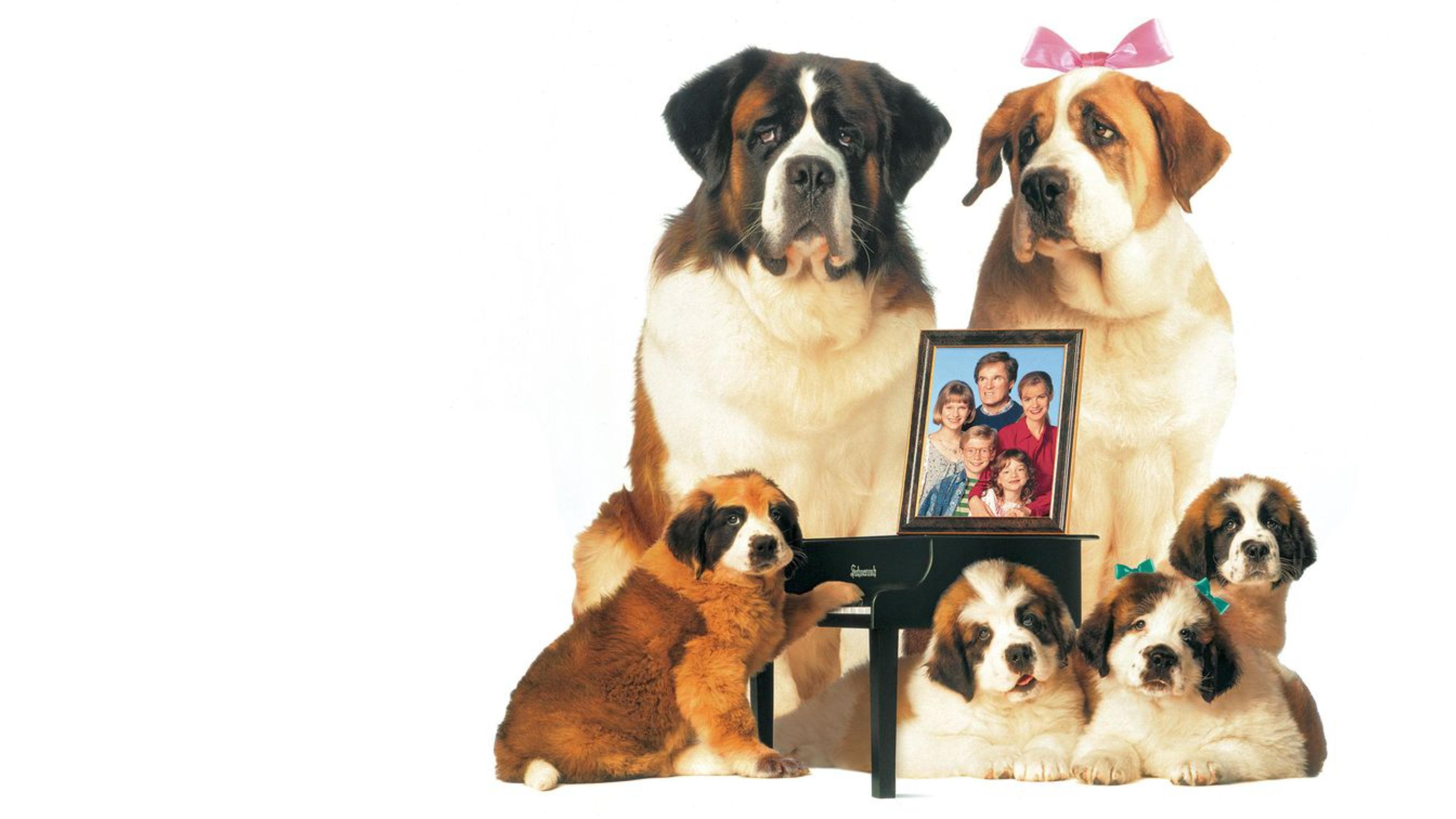 Poster backdrop for Beethoven's 2nd