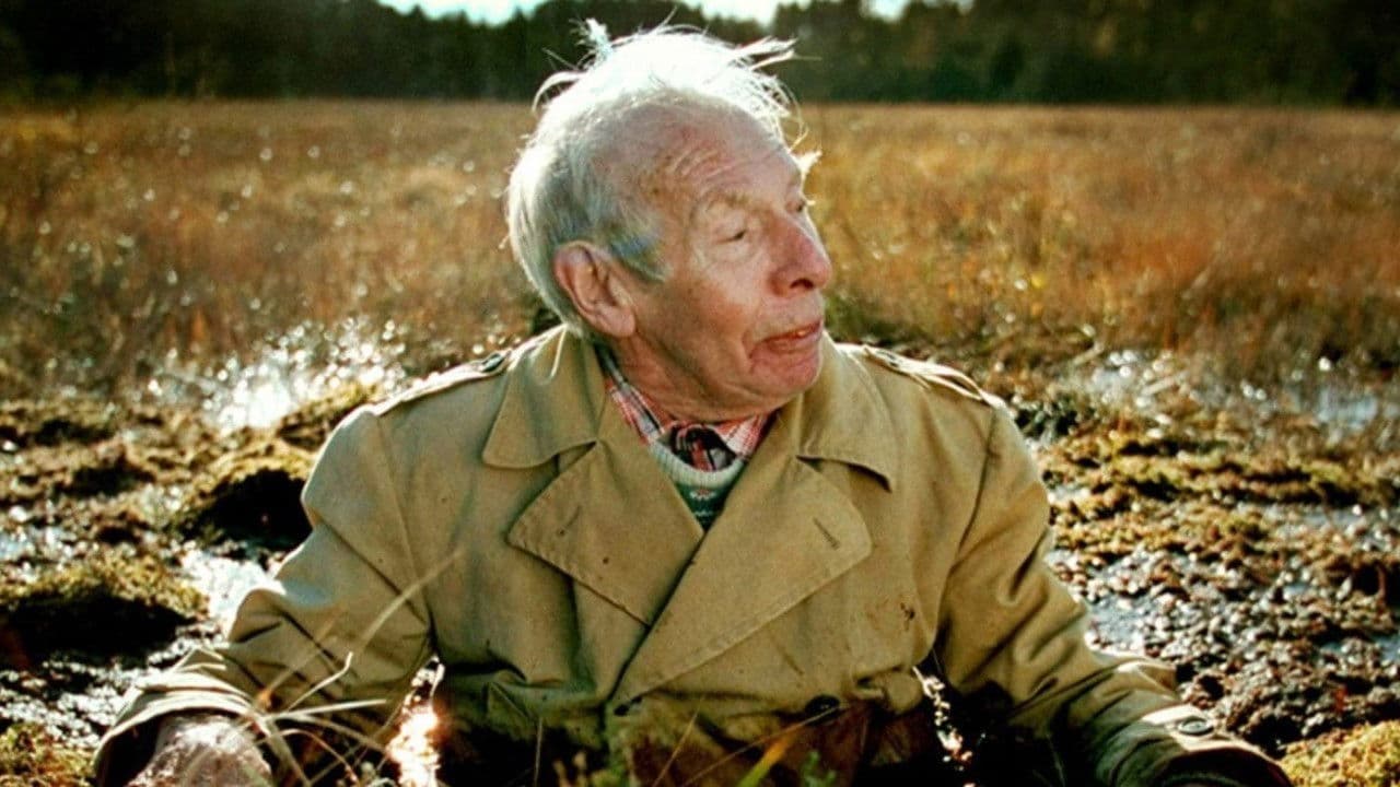 Poster backdrop for Most People Live in China