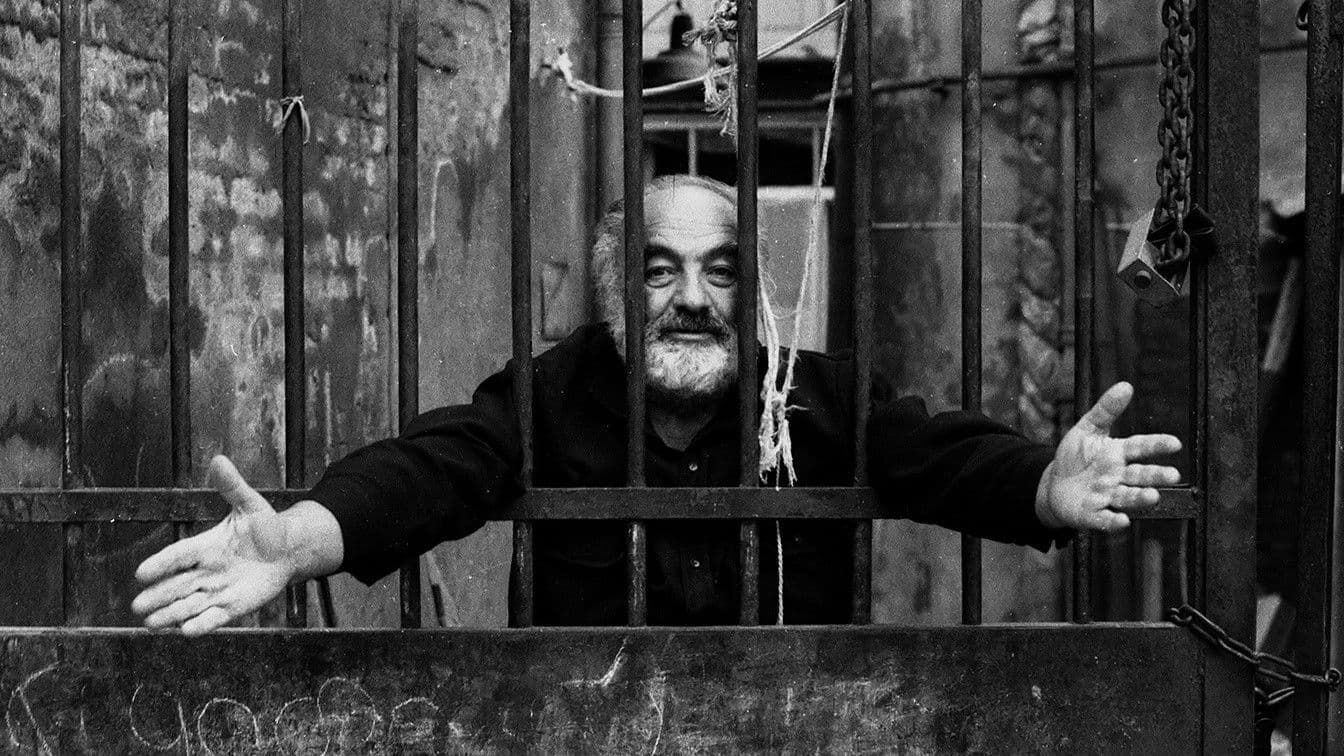 Poster backdrop for The World Is a Window: Making The Colour of Pomegranates