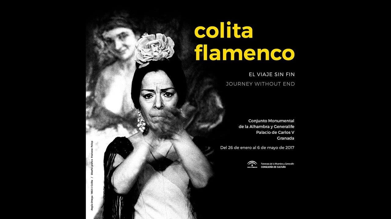 Poster backdrop for Colita: El viaje sin fin