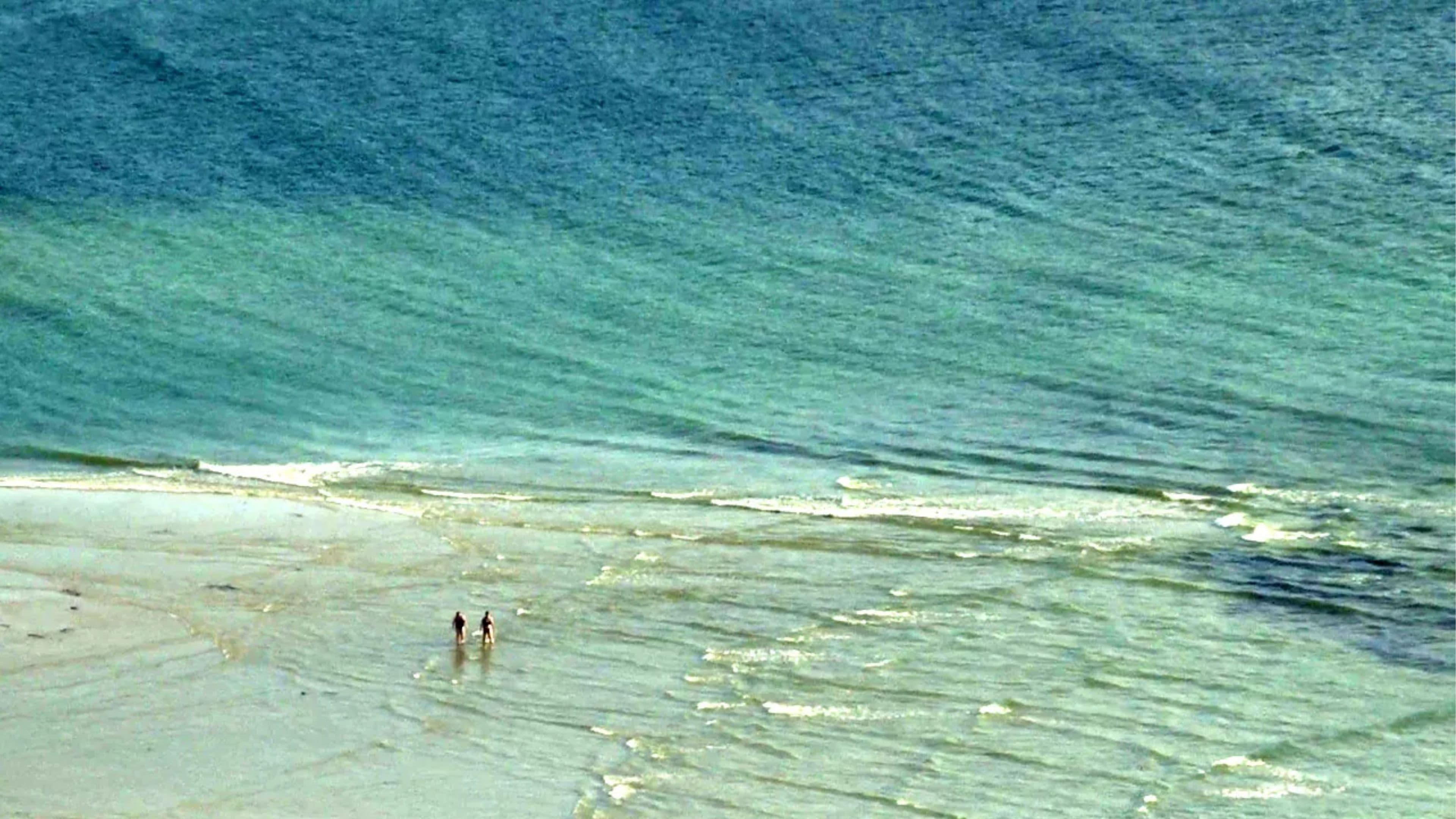 Poster backdrop for Coast of Death