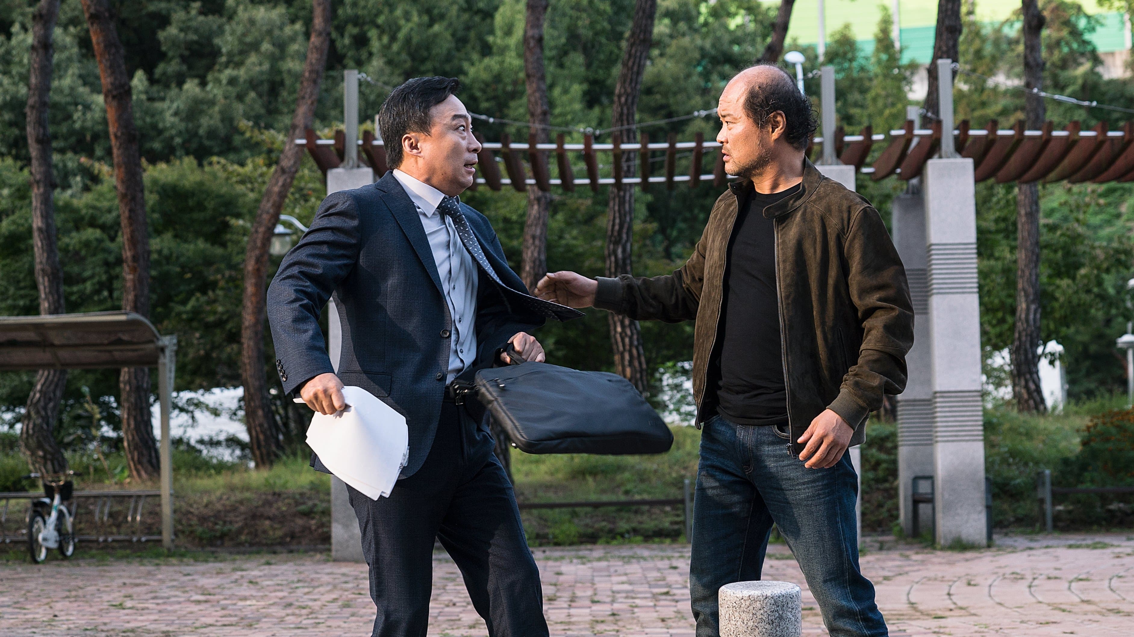 Poster backdrop for The Witness