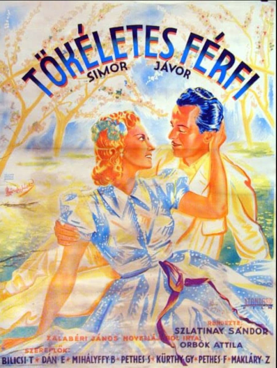 Poster backdrop for Tökéletes férfi
