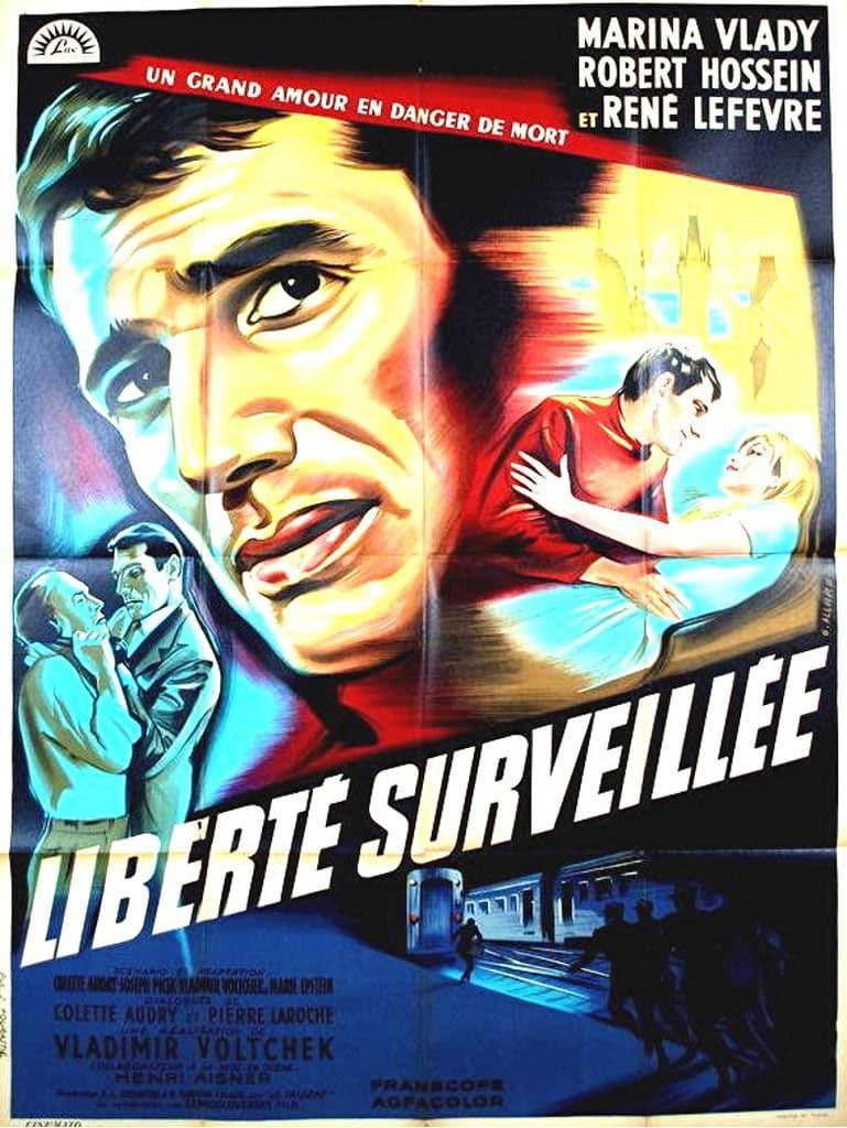 Poster backdrop for Provisional Liberty