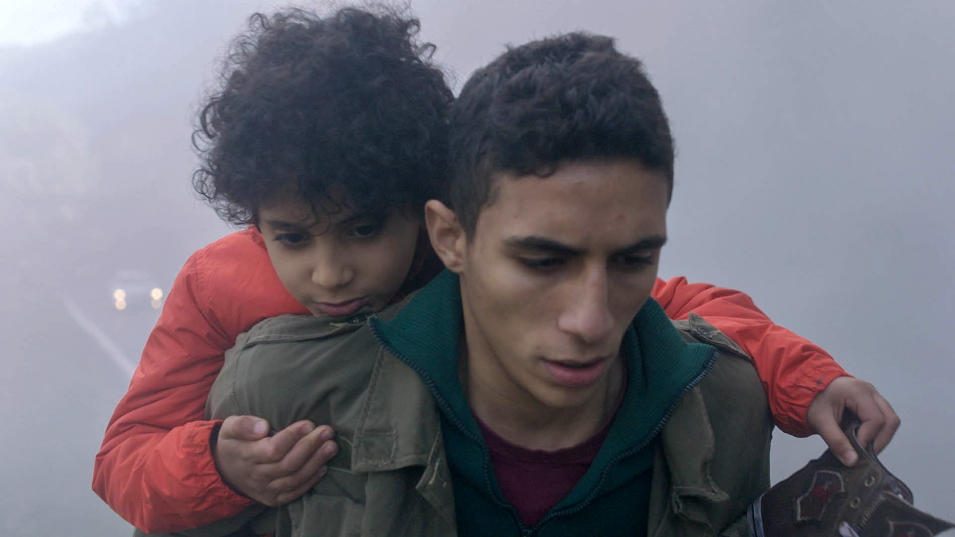 Poster backdrop for Despite the Fog