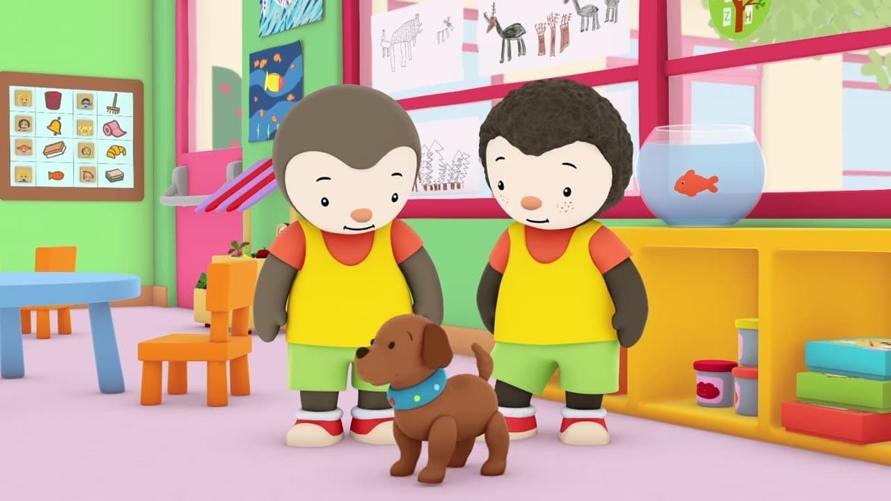 Poster backdrop for Charley & Mimmo