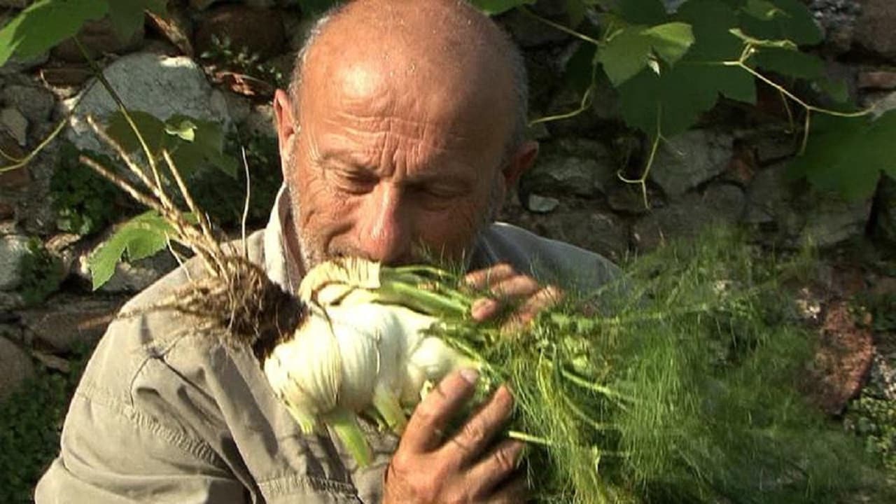 Poster backdrop for Mother Earth