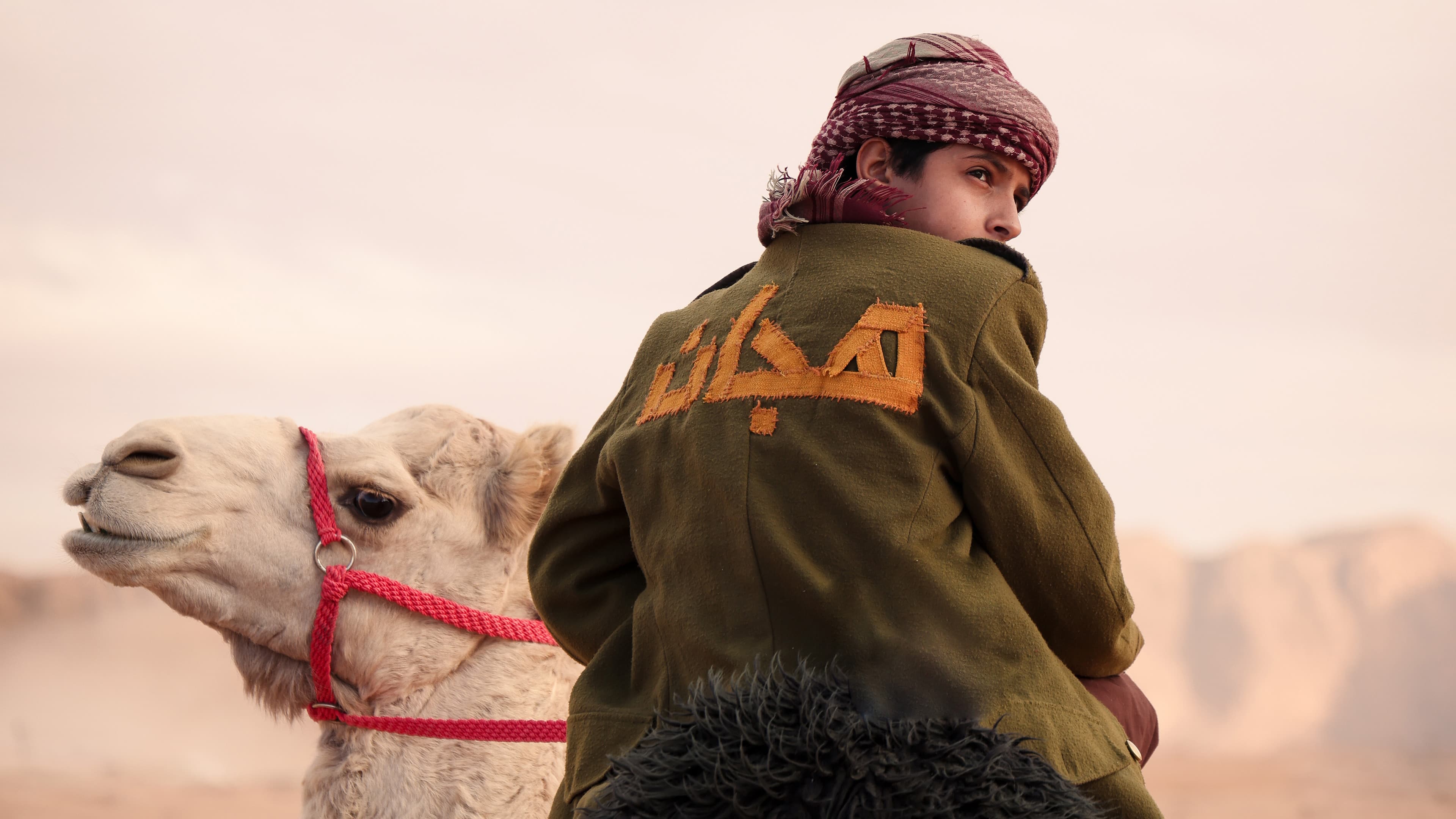 Poster backdrop for Hajjan