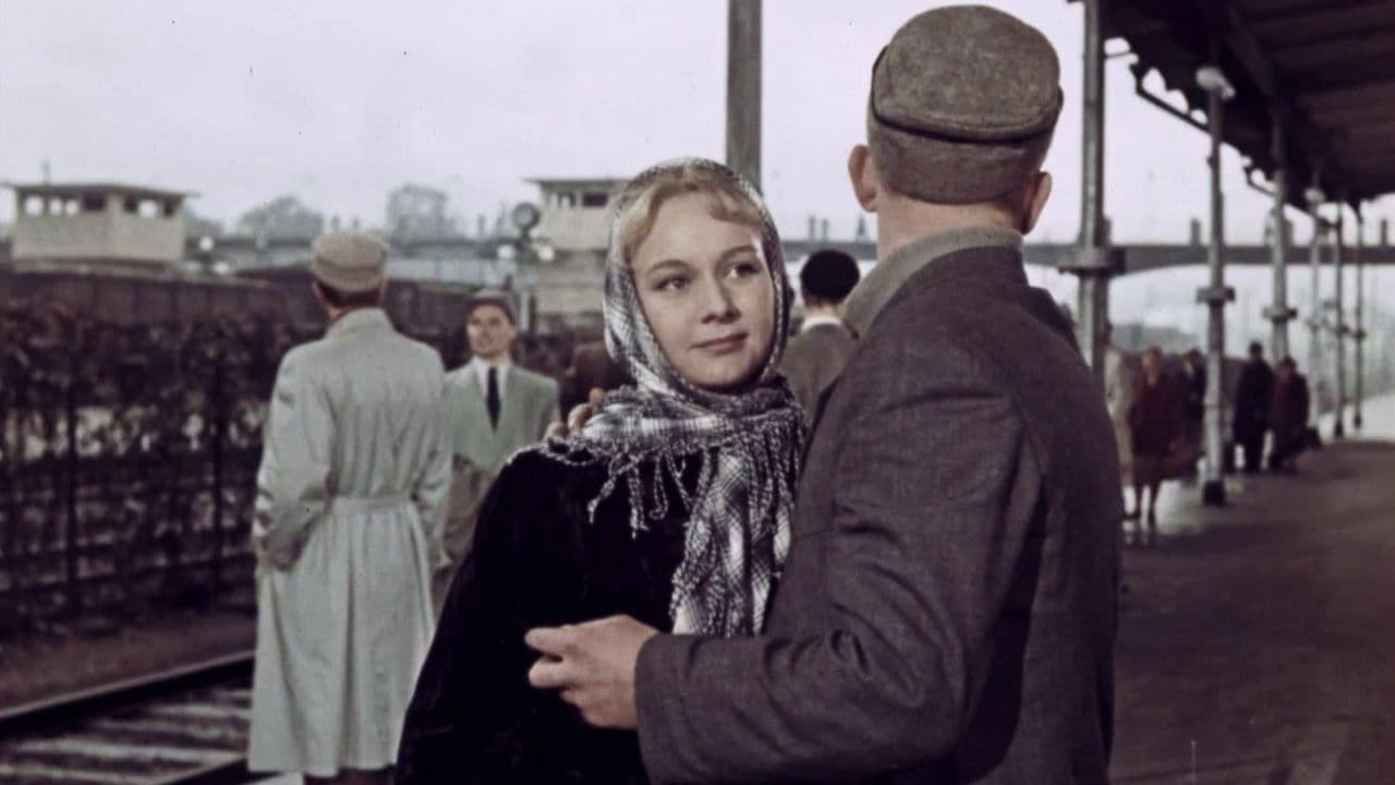 Poster backdrop for Red Leaves