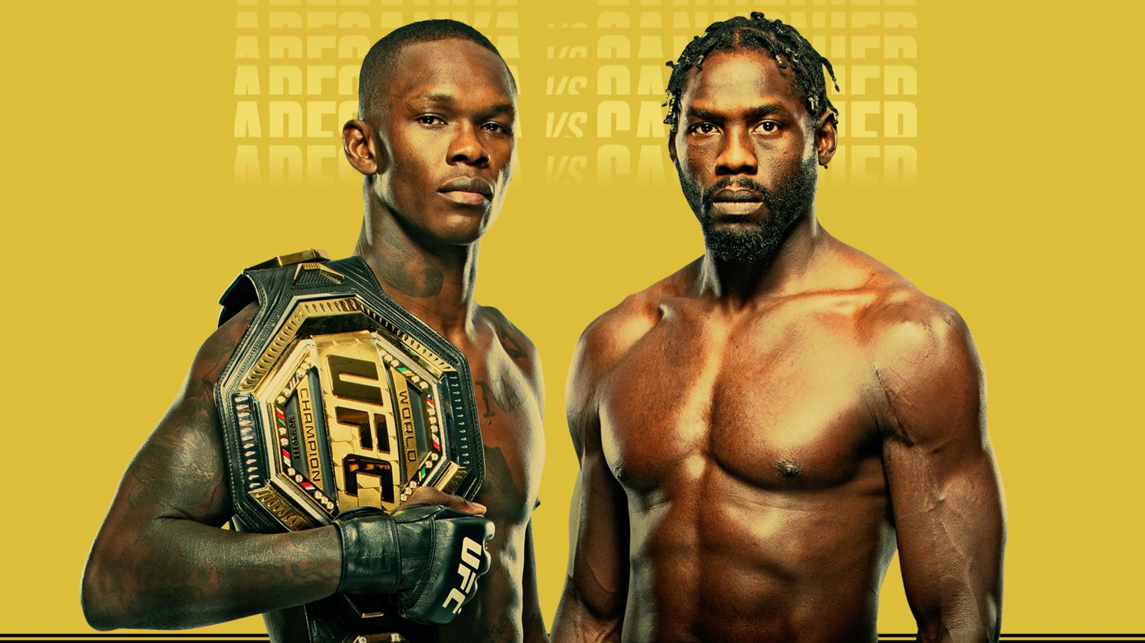 Poster backdrop for UFC 276: Adesanya vs. Cannonier