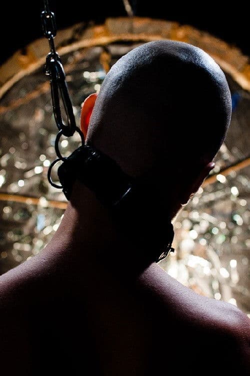 Poster backdrop for Hundred Dogs